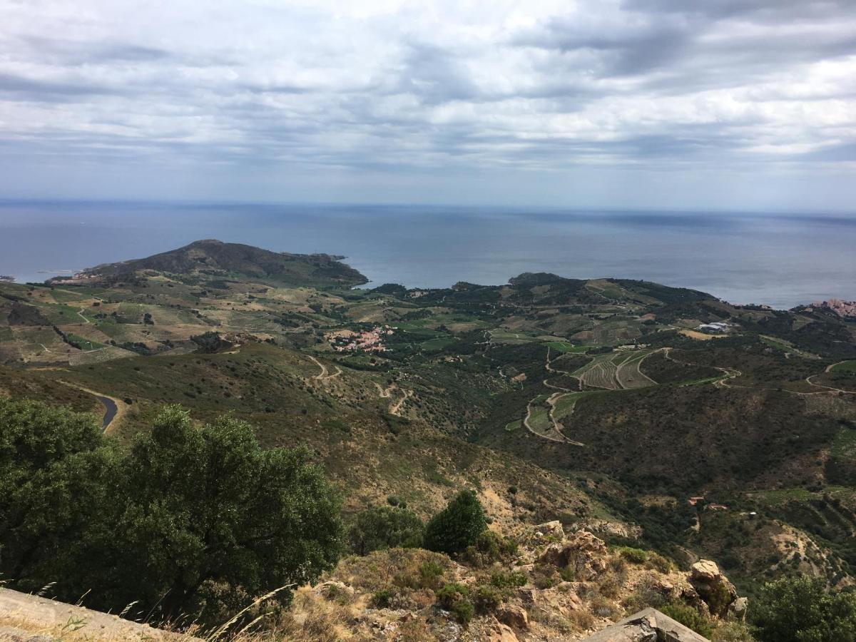 Vue Mer Panoramique Exceptionnelle L T2 Mezzanine Luxueux Banyuls-sur-Mer Luaran gambar
