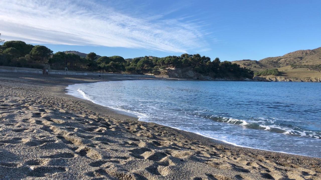 Vue Mer Panoramique Exceptionnelle L T2 Mezzanine Luxueux Banyuls-sur-Mer Luaran gambar